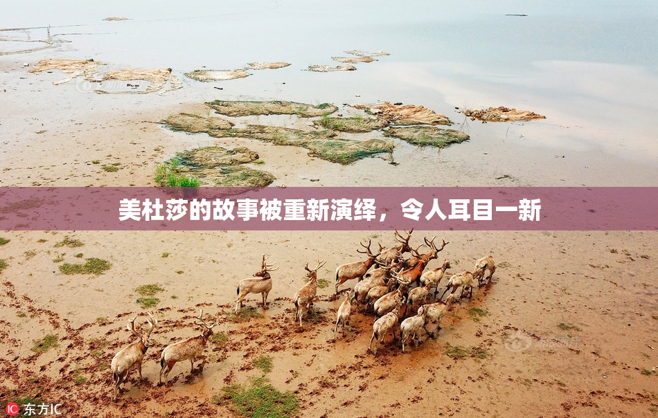 美杜莎的故事被重新演绎，令人耳目一新