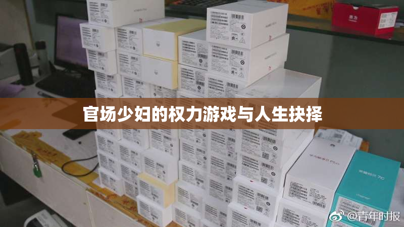 官场少妇的权力游戏与人生抉择