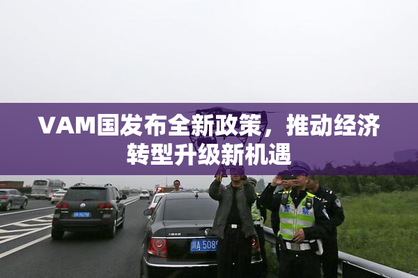 VAM国发布全新政策，推动经济转型升级新机遇