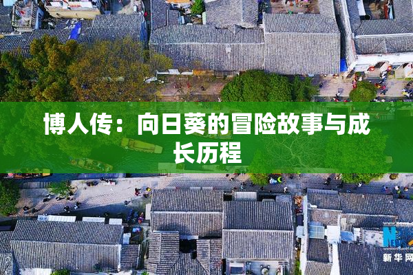 博人传：向日葵的冒险故事与成长历程