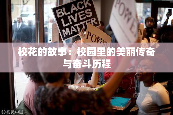 校花的故事：校园里的美丽传奇与奋斗历程
