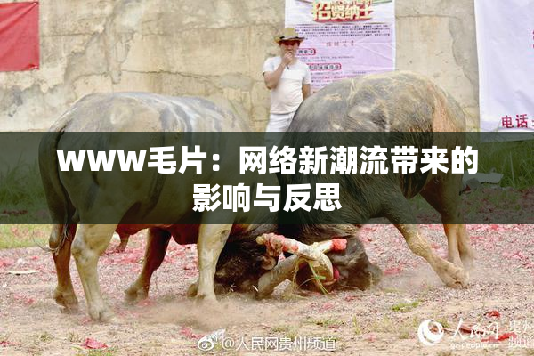 WWW毛片：网络新潮流带来的影响与反思