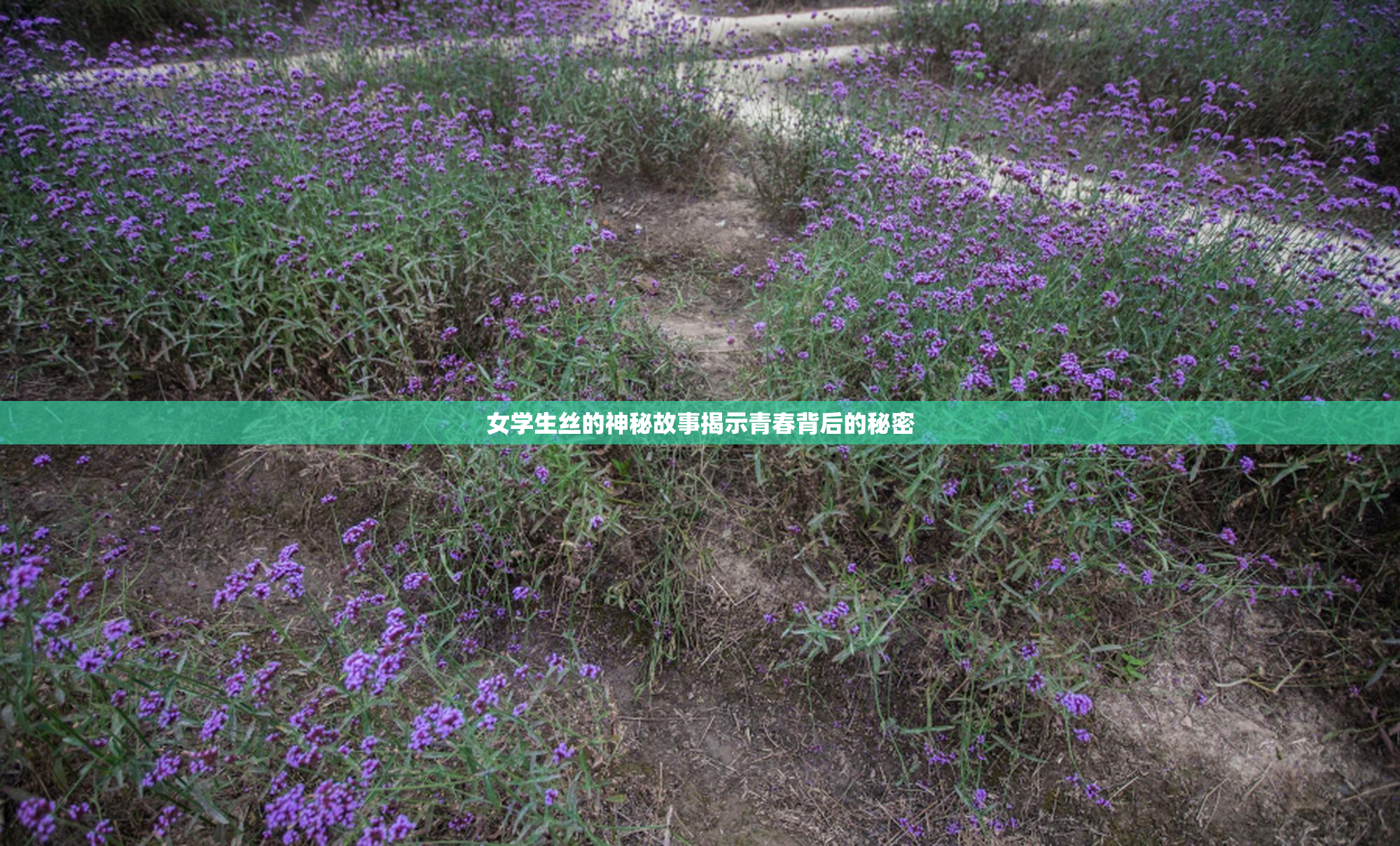 女学生丝的神秘故事揭示青春背后的秘密