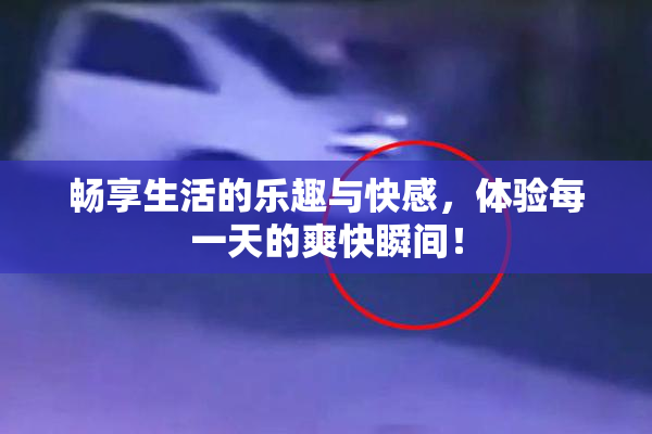 畅享生活的乐趣与快感，体验每一天的爽快瞬间！