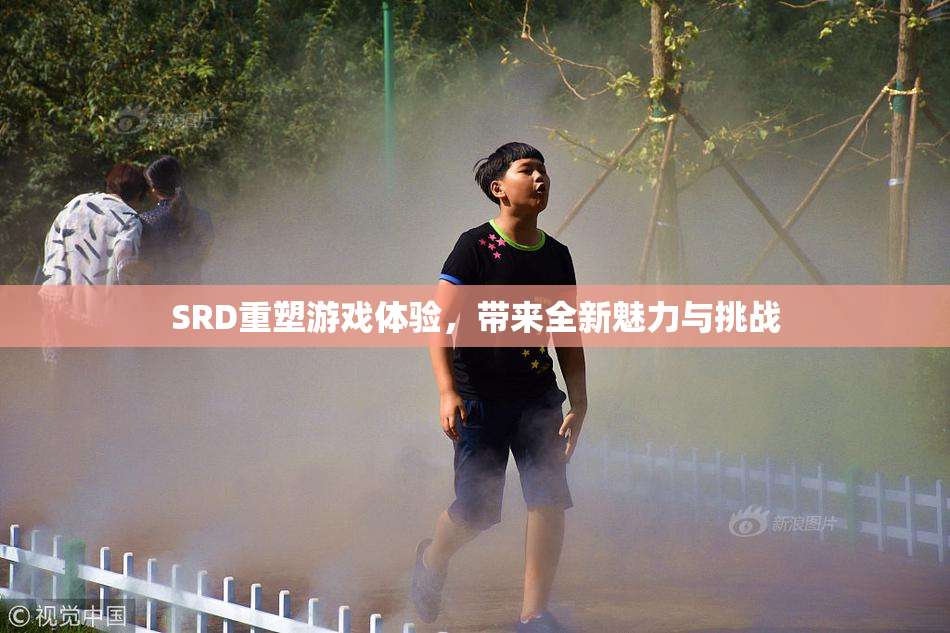 SRD重塑游戏体验，带来全新魅力与挑战