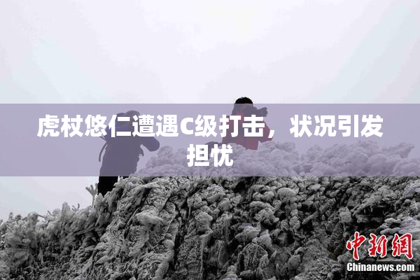 虎杖悠仁遭遇C级打击，状况引发担忧