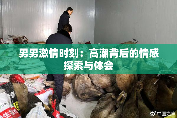 男男激情时刻：高潮背后的情感探索与体会