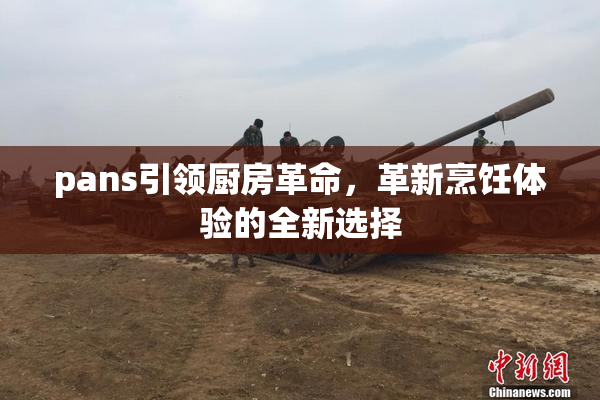 pans引领厨房革命，革新烹饪体验的全新选择