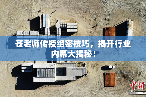 苍老师传授绝密技巧，揭开行业内幕大揭秘！