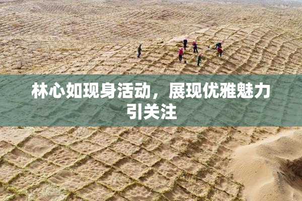 林心如现身活动，展现优雅魅力引关注