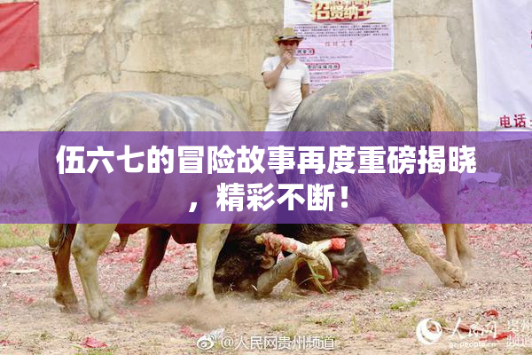 伍六七的冒险故事再度重磅揭晓，精彩不断！