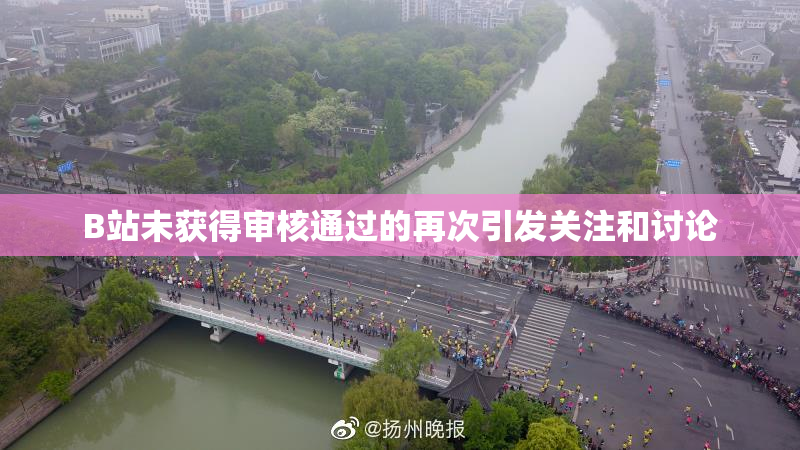 B站未获得审核通过的再次引发关注和讨论