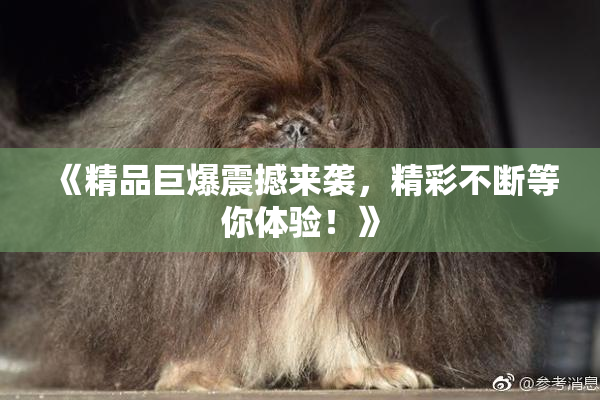《精品巨爆震撼来袭，精彩不断等你体验！》