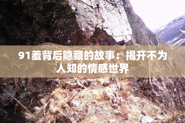 91羞背后隐藏的故事：揭开不为人知的情感世界