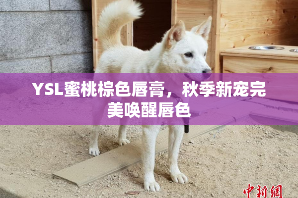 YSL蜜桃棕色唇膏，秋季新宠完美唤醒唇色