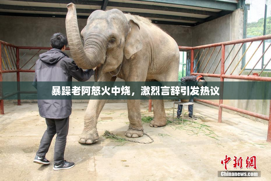 暴躁老阿怒火中烧，激烈言辞引发热议