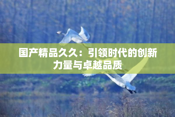 国产精品久久：引领时代的创新力量与卓越品质