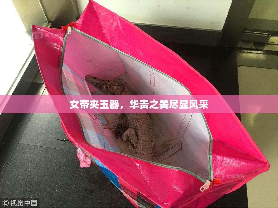 女帝夹玉器，华贵之美尽显风采