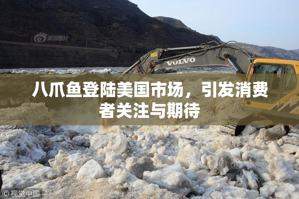 八爪鱼登陆美国市场，引发消费者关注与期待