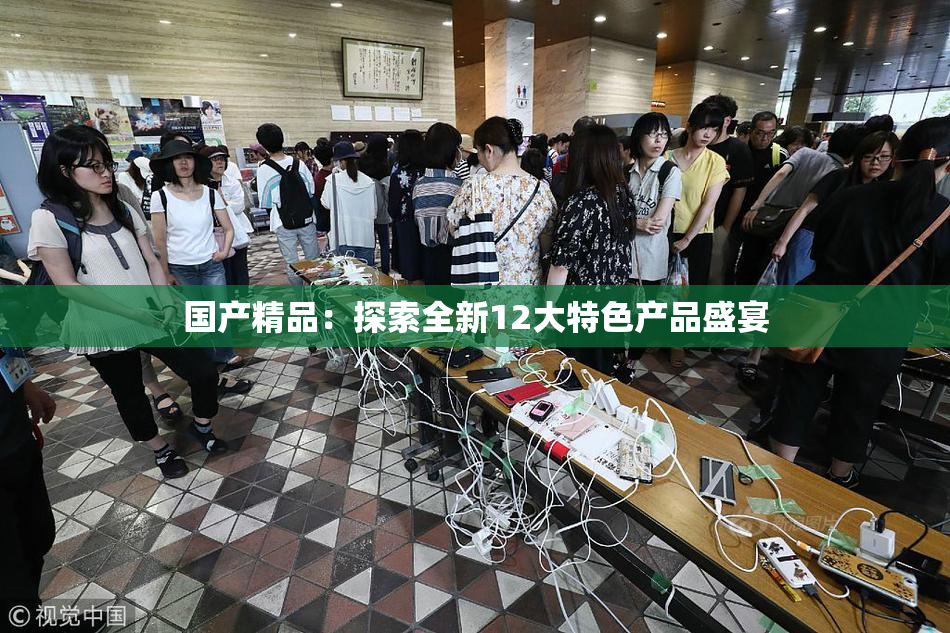 国产精品：探索全新12大特色产品盛宴