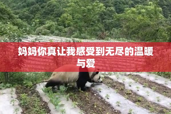 妈妈你真让我感受到无尽的温暖与爱