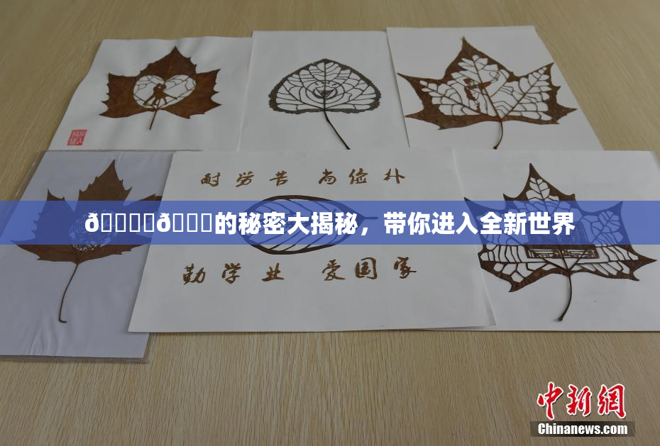 🔞‌🍌的秘密大揭秘，带你进入全新世界