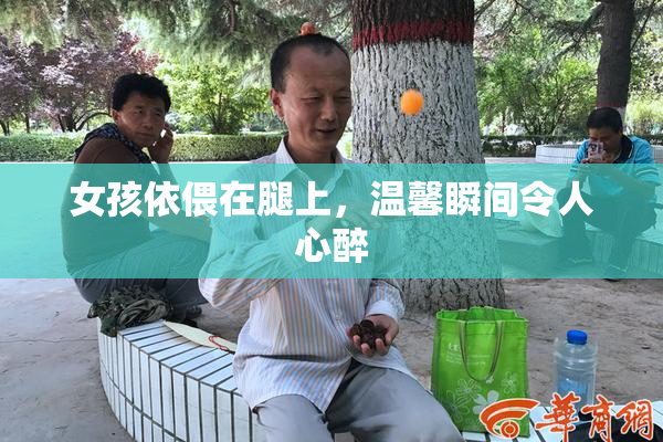 女孩依偎在腿上，温馨瞬间令人心醉