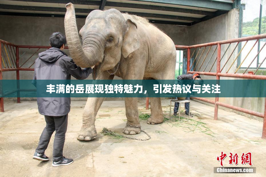 丰满的岳展现独特魅力，引发热议与关注