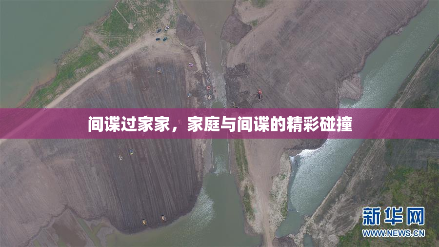 间谍过家家，家庭与间谍的精彩碰撞