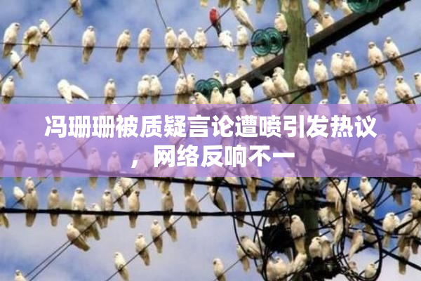 冯珊珊被质疑言论遭喷引发热议，网络反响不一