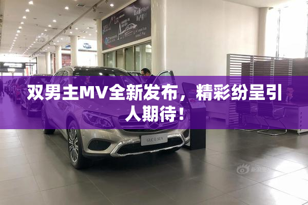双男主MV全新发布，精彩纷呈引人期待！