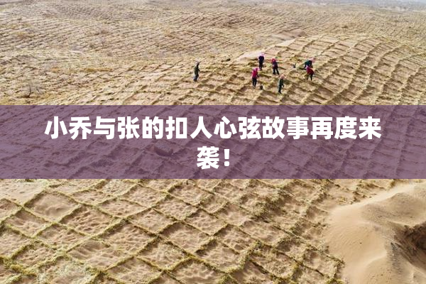小乔与张的扣人心弦故事再度来袭！