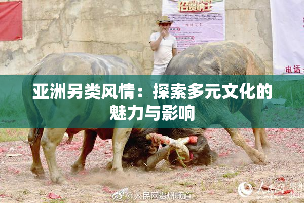 亚洲另类风情：探索多元文化的魅力与影响