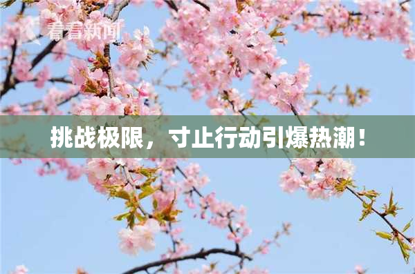 挑战极限，寸止行动引爆热潮！