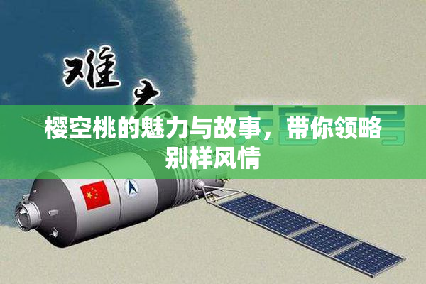 樱空桃的魅力与故事，带你领略别样风情