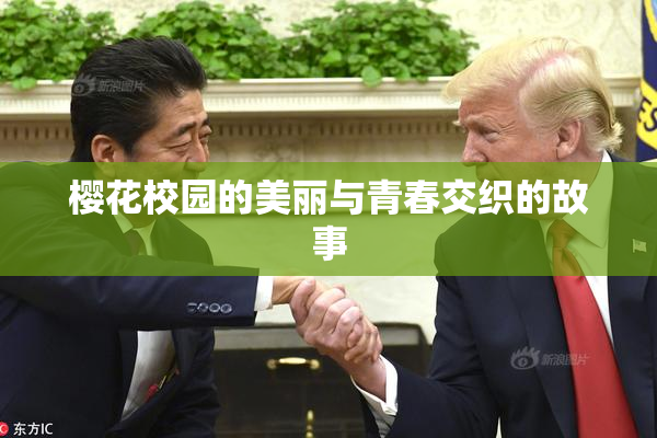 樱花校园的美丽与青春交织的故事