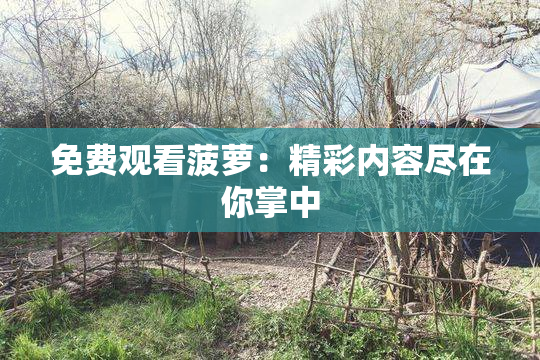 免费观看菠萝：精彩内容尽在你掌中
