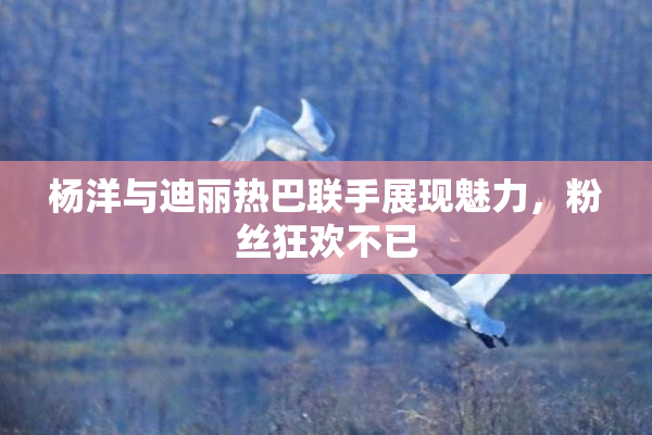 杨洋与迪丽热巴联手展现魅力，粉丝狂欢不已