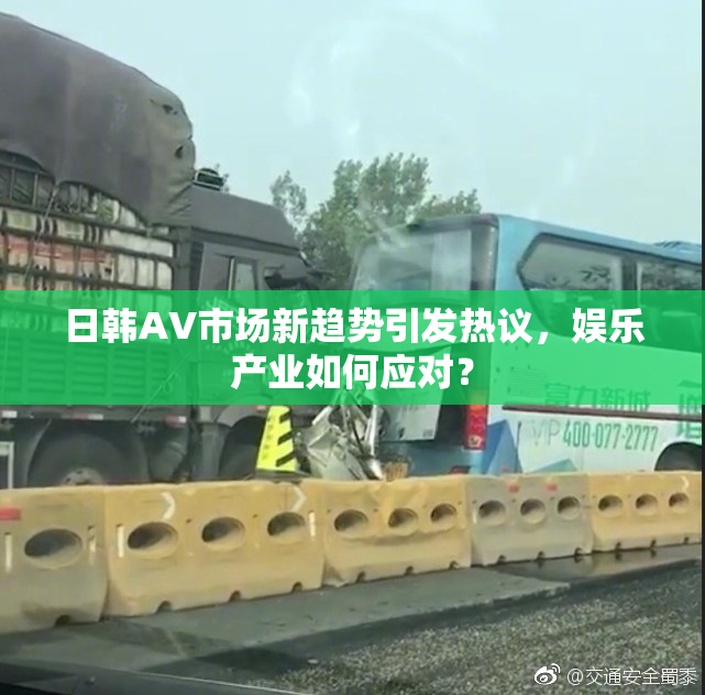日韩AV市场新趋势引发热议，娱乐产业如何应对？