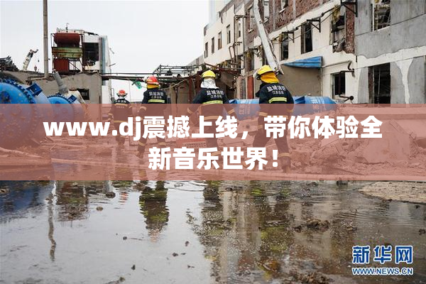 www.dj震撼上线，带你体验全新音乐世界！