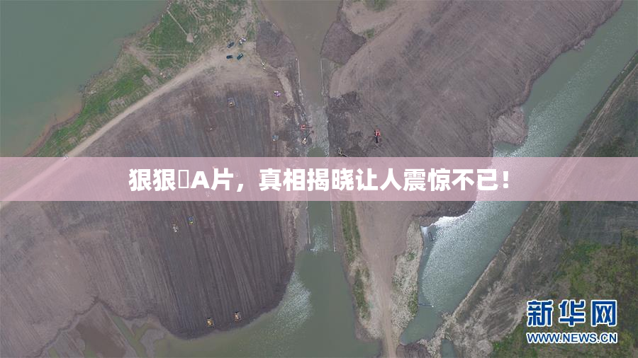 狠狠穞A片，真相揭晓让人震惊不已！