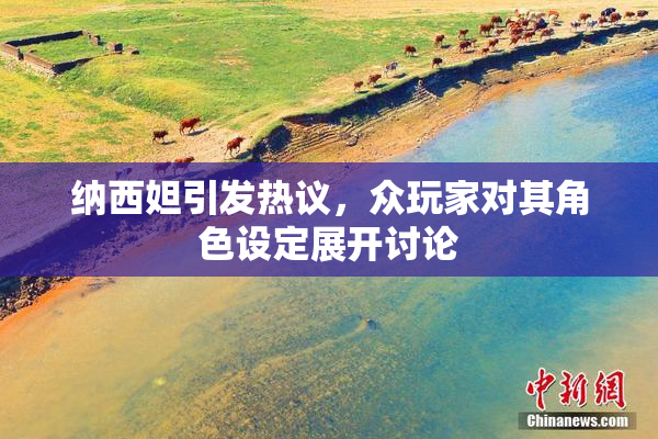 纳西妲引发热议，众玩家对其角色设定展开讨论