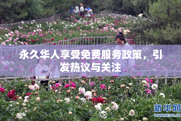 永久华人享受免费服务政策，引发热议与关注