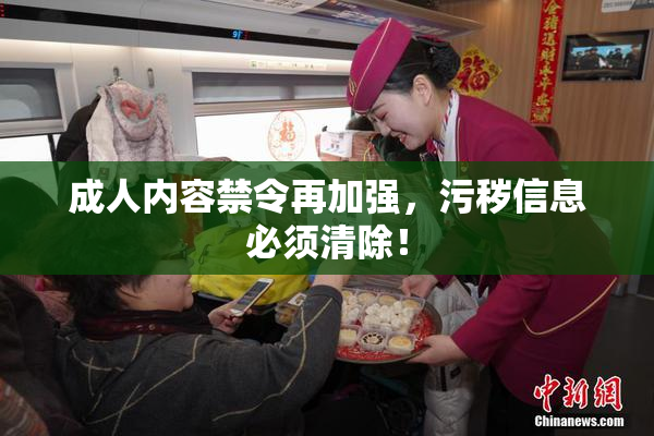 成人内容禁令再加强，污秽信息必须清除！