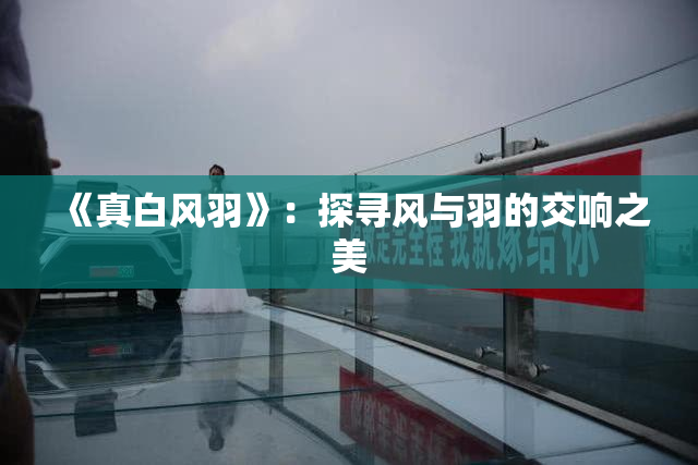 《真白风羽》：探寻风与羽的交响之美