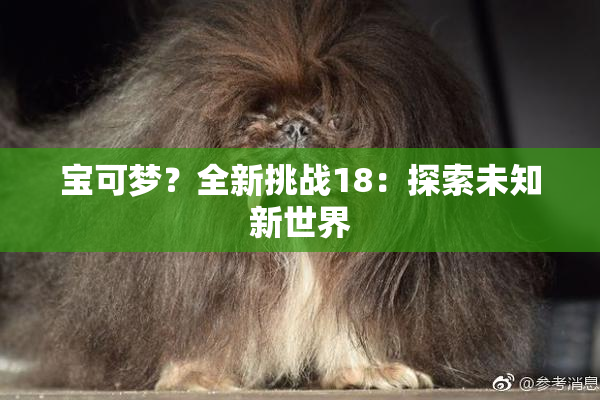 宝可梦？全新挑战18：探索未知新世界