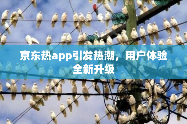 京东热app引发热潮，用户体验全新升级