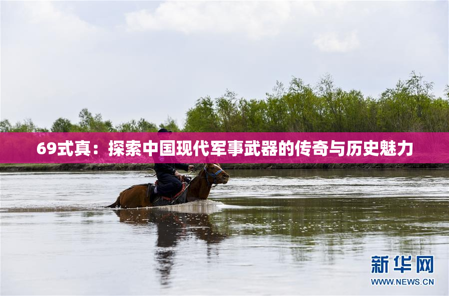 69式真：探索中国现代军事武器的传奇与历史魅力