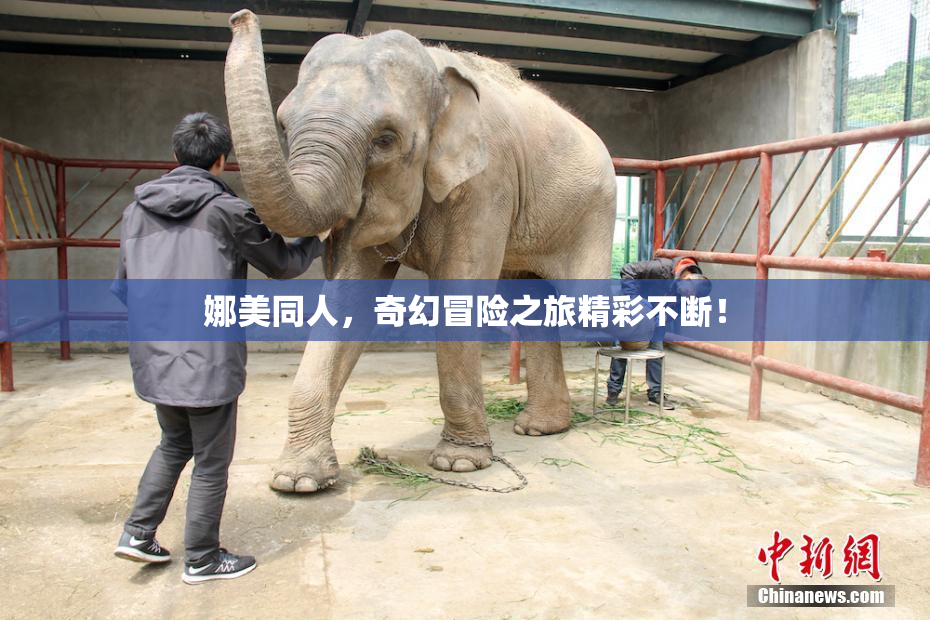 娜美同人，奇幻冒险之旅精彩不断！