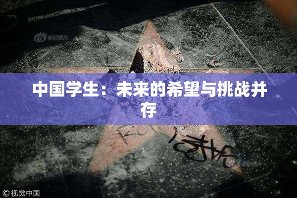 中国学生：未来的希望与挑战并存
